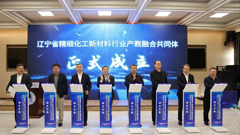 塑料助剂：揭秘十大品牌背后的技术实力与市场影响力